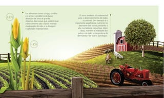 Em alimentos como o trigo, o milho
e o arroz, o problema da baixa
absorção de zinco é grande.
Algumas das causas que podem levar
a este sintoma são o tipo e manejo
inadequado do solo, e a dosagem
e aplicação inapropriadas.

O zinco também é fundamental
para o desenvolvimento de todos
os animais. Um exemplo é o
importante papel desse nutriente no
desmame dos suínos, evitando a
alta mortalidade nessa fase. Além
disso, mantém a vitalidade dos
pelos e da pele, protegendo-a de
dermatites e de outras patologias.

 