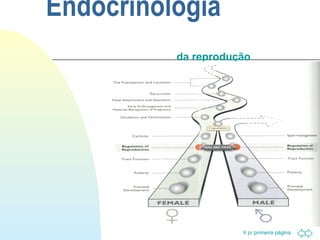Ir p/ primeira página 
Endocrinologia 
da reprodução 
 