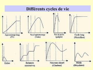 Différents cycles de vie
 