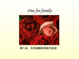 One for family 第八朵，在你溫暖的家庭中綻放 