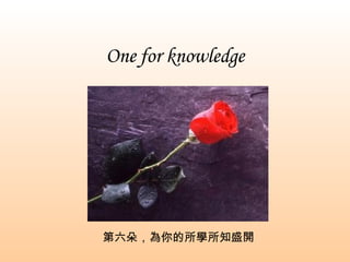 One for knowledge 第六朵，為你的所學所知盛開 