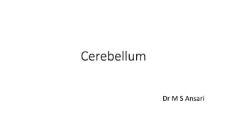 Cerebellum
Dr M S Ansari
 
