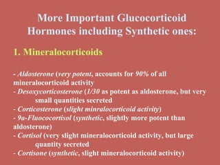 More Important Glucocorticoid Hormones including Synthetic ones: 1. Mineralocorticoids - Aldosterone  ( very potent , accounts for  90%  of all  mineralocorticoid activity -  Desoxycorticosterone  ( 1/30  as potent as aldosterone, but very  small quantities secreted -  Corticosterone  ( slight minralocorticoid activity ) -  9a-Fluococortisol  ( synthetic , slightly more potent than  aldosterone) -  Cortisol  (very slight mineralocorticoid activity, but large  quantity secreted -  Cortisone  ( synthetic , slight mineralocorticoid activity) 