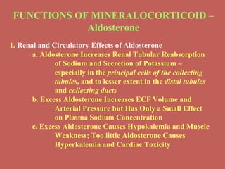 FUNCTIONS OF MINERALOCORTICOID – Aldosterone 1 .  Renal and Circulatory Effects of Aldosterone a. Aldosterone Increases Renal Tubular Reabsorption  of Sodium and Secretion of Potassium –  especially in the  principal cells of the collecting  tubules , and to lesser extent in the  distal tubules   and  collecting ducts b. Excess Aldosterone Increases ECF Volume and  Arterial Pressure but Has Only a Small Effect  on Plasma Sodium Concentration c.  Excess Aldosterone Causes Hypokalemia and Muscle  Weakness; Too little Aldosterone Causes  Hyperkalemia and Cardiac Toxicity 