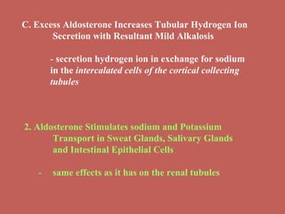 C. Excess Aldosterone Increases Tubular Hydrogen Ion  Secretion with Resultant Mild Alkalosis -  secretion hydrogen ion in exchange for sodium in the  intercalated cells of the cortical collecting tubules 2.  Aldosterone Stimulates sodium and Potassium  Transport in Sweat Glands, Salivary Glands  and Intestinal Epithelial Cells - same effects as it has on the renal tubules 