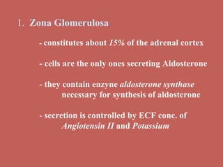 1.  Zona Glomerulosa -  constitutes about  15%  of the adrenal cortex - cells are the only ones secreting Aldosterone -  they contain enzyne  aldosterone synthase   necessary for synthesis of aldosterone -  secretion is controlled by ECF conc. of  Angiotensin II  and  Potassium 
