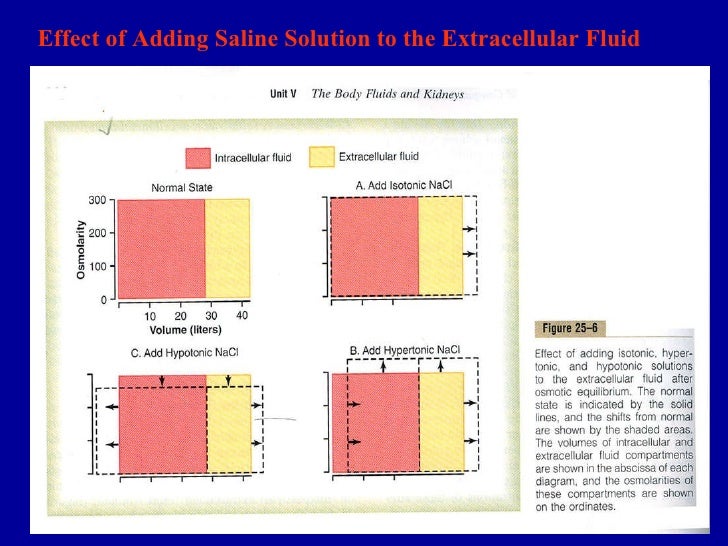 calculation of body fluid compartments calculation of body fluid compartments