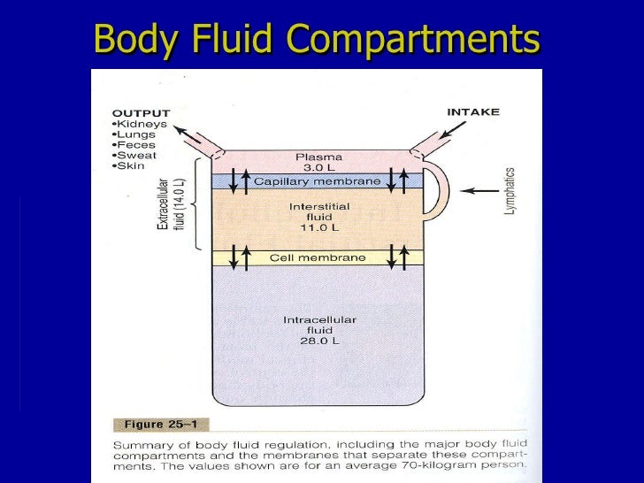 Body Fluids