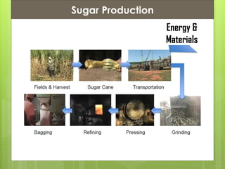 Presentation ContentsSugar Production
Energy &
Materials
 