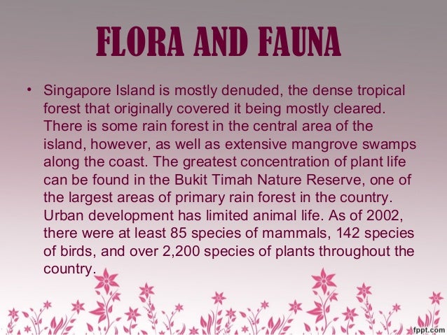 Unduh 7400 Gambar Flora Dan Fauna Di Singapura Terbaik 