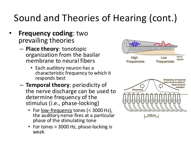 Hearing....It's More Than You Think!