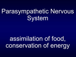 Parasympathetic Nervous
System
assimilation of food,
conservation of energy
 