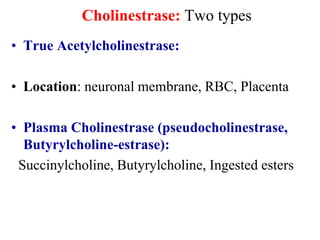 Cholinestrase: Two types
• True Acetylcholinestrase:
• Location: neuronal membrane, RBC, Placenta
• Plasma Cholinestrase (pseudocholinestrase,
Butyrylcholine-estrase):
Succinylcholine, Butyrylcholine, Ingested esters
 