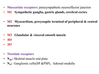 • Muscarinic receptors: parasympathetic neuroeffector junction
• M1 Sympathetic ganglia, gastric glands, cerebral cortex
• M2 Myocardium, presynaptic terminal of peripheral & central
neurones
• M3 Glandular & visceral smooth muscle
• M4
• M5
• Nicotinic receptors
• NM : Skeletal muscle end plate
• NN: Ganglionic cells(SP &PSP), Adrenal medulla
 
