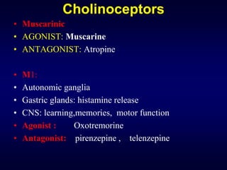 Cholinoceptors
• Muscarinic
• AGONIST: Muscarine
• ANTAGONIST: Atropine
• M1:
• Autonomic ganglia
• Gastric glands: histamine release
• CNS: learning,memories, motor function
• Agonist : Oxotremorine
• Antagonist: pirenzepine , telenzepine
 
