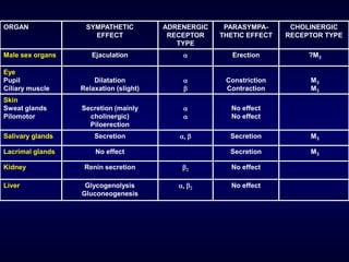 ORGAN SYMPATHETIC
EFFECT
ADRENERGIC
RECEPTOR
TYPE
PARASYMPA-
THETIC EFFECT
CHOLINERGIC
RECEPTOR TYPE
Male sex organs Ejaculation a Erection ?M3
Eye
Pupil
Ciliary muscle
Dilatation
Relaxation (slight)
a
b
Constriction
Contraction
M3
M3
Skin
Sweat glands
Pilomotor
Secretion (mainly
cholinergic)
Piloerection
a
a
No effect
No effect
Salivary glands Secretion a, b Secretion M3
Lacrimal glands No effect Secretion M3
Kidney Renin secretion b2 No effect
Liver Glycogenolysis
Gluconeogenesis
a, b2 No effect
 