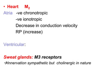 • Heart M2
Atria -ve chronotropic
-ve ionotropic
Decrease in conduction velocity
RP (increase)
Ventricular:
Sweat glands: M3 receptors
Innervation sympathetic but cholinergic in nature
 