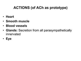ACTIONS (of ACh as prototype)
• Heart
• Smooth muscle
• Blood vessels
• Glands: Secretion from all parasympathetically
innervated
• Eye
 