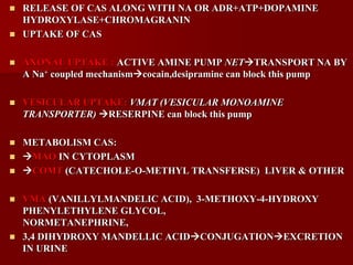  RELEASE OF CAS ALONG WITH NA OR ADR+ATP+DOPAMINE
HYDROXYLASE+CHROMAGRANIN
 UPTAKE OF CAS
 AXONAL UPTAKE : ACTIVE AMINE PUMP NETTRANSPORT NA BY
A Na+ coupled mechanismcocain,desipramine can block this pump
 VESICULAR UPTAKE: VMAT (VESICULAR MONOAMINE
TRANSPORTER) RESERPINE can block this pump
 METABOLISM CAS:
 MAO IN CYTOPLASM
 COMT (CATECHOLE-O-METHYL TRANSFERSE) LIVER & OTHER
 VMA (VANILLYLMANDELIC ACID), 3-METHOXY-4-HYDROXY
PHENYLETHYLENE GLYCOL,
NORMETANEPHRINE,
 3,4 DIHYDROXY MANDELLIC ACIDCONJUGATIONEXCRETION
IN URINE
 