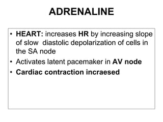 ADRENALINE
• HEART: increases HR by increasing slope
of slow diastolic depolarization of cells in
the SA node
• Activates latent pacemaker in AV node
• Cardiac contraction incraesed
 