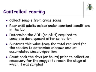 Sample Collection And Rearing 99995673.ppt