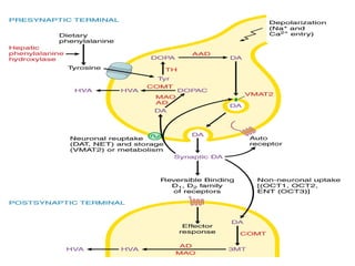 Autacoids Functions Autacoids pharmacology presentation n.ppt