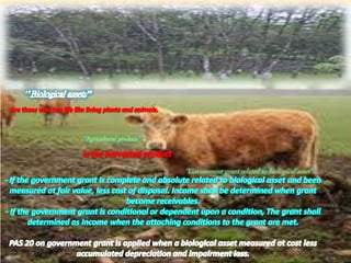 ‘’Agricultural produce’’
‘’Government grant related to biological asset’’
 