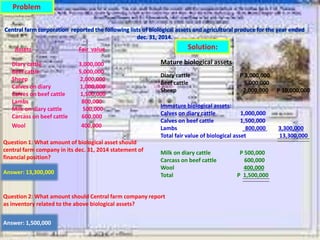 Diary cattle P 3,000,000
Beef cattle 5,000,000
Sheep 2,000,000 P 10,000,000
Problem
Central farm corporation reported the following lists of biological assets and agricultural produce for the year ended
dec. 31, 2014.
Assets Fair value
Diary cattle 3,000,000
Beef cattle 5,000,000
Sheep 2,000,000
Calves on diary 1,000,000
Calves on beef cattle 1,500,000
Lambs 800,000
Milk on diary cattle 500,000
Carcass on beef cattle 600,000
Wool 400,000
Question 1: What amount of biological asset should
central farm company in its dec. 31, 2014 statement of
financial position?
Answer: 13,300,000
Question 2: What amount should Central farm company report
as inventory related to the above biological assets?
Answer: 1,500,000
Mature biological assets:
Immature biological assets:
Calves on diary cattle 1,000,000
Calves on beef cattle 1,500,000
Lambs 800,000 3,300,000
Total fair value of biological asset 13,300,000
Milk on diary cattle P 500,000
Carcass on beef cattle 600,000
Wool 400,000
Total P 1,500,000
Solution:
 