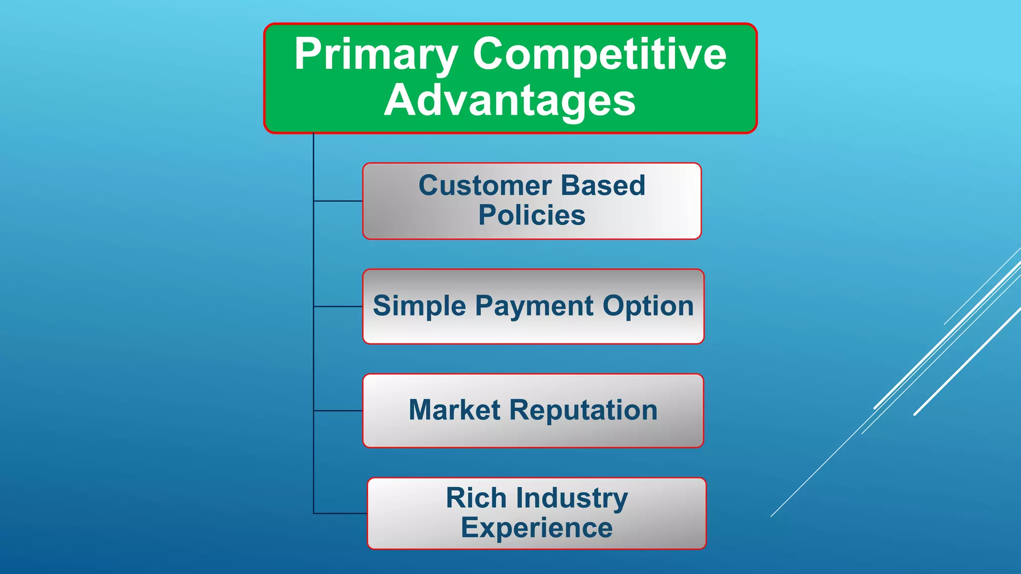 Primary Competitive
Advantages
Customer Based
Policies
Simple Payment Option
Market Reputation
Rich Industry
Experience
 
