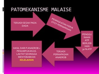 PATOMEKANISME MALAISE
TERJADI SESAK PADA
DADA
PENGGU
NAAN
ATP
BERLEBI
HAN
30 % ATP
TERJADI
PERNAPASAN
ANAEROB
HASIL DARI P.ANAEROB =
PENUMPUKANAS.
LAKTAT SEHINGGA
MENYEBABKAN
KELELAHAN
 