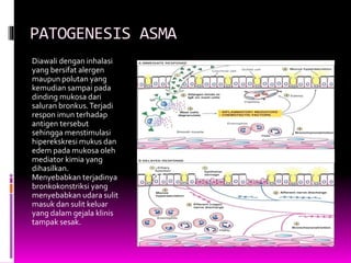 PATOGENESIS ASMA
Diawali dengan inhalasi
yang bersifat alergen
maupun polutan yang
kemudian sampai pada
dinding mukosa dari
saluran bronkus.Terjadi
respon imun terhadap
antigen tersebut
sehingga menstimulasi
hiperekskresi mukus dan
edem pada mukosa oleh
mediator kimia yang
dihasilkan.
Menyebabkan terjadinya
bronkokonstriksi yang
menyebabkan udara sulit
masuk dan sulit keluar
yang dalam gejala klinis
tampak sesak.
 