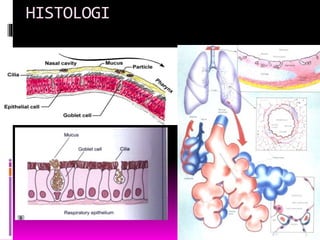 HISTOLOGI
 