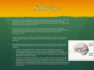  The second type of visual information processing involves the perception of visual
information that is influenced by the strategies an athlete develops through
experience, which results in processing the incoming information more efficiently.
(3rd level of sports vision pyramid)
 Software aspects of sports vision includes information processing strategies,
encoding and retrieving perceptual information from memory, extracting relevant
information from both advance cues and ball flight cues, and the use of
anticipatory skills.
 There are numerous ‘‘software’’ skills that differentiate an expert from a novice,
which includes, pattern recognition, interceptive timing, fixation, and visual
attention.
 Important neural pathways located in the optical lobe send information to the
frontal lobe . Within the lobe are two forms of visual processing—dorsal and
ventral.
 Dorsal - The dorsal stream is responsible for orienting the gaze and
sustaining attention at one location. It is also responsible for the rapid
processing and updating of information that is important for orientation in
space and movement. Known as the ‘‘where’’ pathway because it directs
attention to locations in space.
 Ventral - It is also known as the ‘‘what’’ stream and is associated with the
cognitive processing of information and higher executive processes. It is
responsible for assigning meaning to objects and events, and it guides the
anticipation and planning of actions. The dorsal stream is adept at processing
information of short duration, but the ventral system requires time to carry
out its role.
 