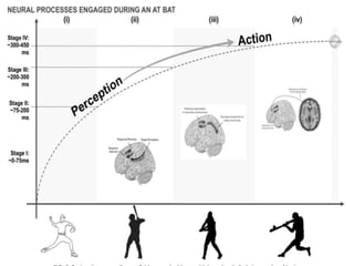 Mark Cobbler Lit Review Powerpoint