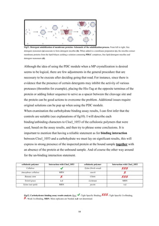 14
Fig11. Detergent solubilization of membrane proteins- Schematic of the solubilization process. From left to right: free
detergent monomers (a) associate to form detergent micelles (b). When added to a membrane preparation (c), the micelles extract
membrane proteins from the lipid bilayer yielding a solution containing PDLC complexes, free lipid-detergent micelles and
detergent monomers (d).
Although the idea of using the PDC module when a MP crystallization is desired
seems to be logical, there are few adjustments in the general procedure that are
necessary to be execute after deciding going that road. For instance, since there is
evidence that the presence of certain detergents may inhibit the activity of various
proteases (thrombin for example), placing the His-Tag at the opposite terminus of the
protein or adding linker sequence to serve as a spacer between the cleavage site and
the protein can be good actions to overcome the problem. Additional issues require
original solutions can be pop up when using the PDC module.
When examination the carbohydrate binding assay results, I can first infer that the
controls are suitable (see explanations of fig10). I will describe each
binding/unbinding characters to Clocl_1053 of the cellulostic polymers that were
used, based on the assay results, and then try to phrase some conclusions. It is
important to mention that having a reliable statement as for binding interaction
between Clocl_1053 and a carbohydrate we must lay on significant results, this will
express in strong presence of the inspected protein at the bound sample together with
an absence of the protein at the unbound sample. And of course the other way around
for the un-binding interaction statement.
Fig12. Carbohydrates binding assay results analysis. Key: - Tight Specific Binding, - Tight Specific Un-Binding,
- Week Un-Binding, MRN- More replicates are Needed, n.d- not determined.
cellulostic polymer Interaction with Clocl_1053 cellulostic polymer Interaction with Clocl_1053
Cellulose Xylan (brich wood)
Amorphous cellulose MRN starch
Banana stem Chitin
Switch grass n.d Lichenan MRN
Xylan (oat spelt) MRN pectin n.d
 