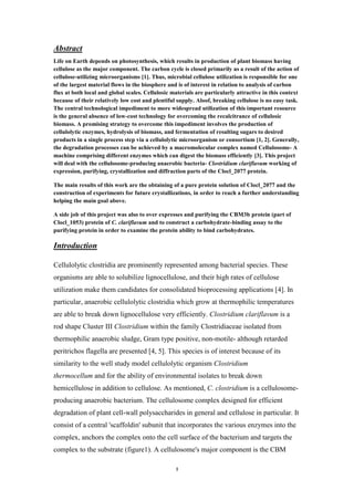 1
Abstract
Life on Earth depends on photosynthesis, which results in production of plant biomass having
cellulose as the major component. The carbon cycle is closed primarily as a result of the action of
cellulose-utilizing microorganisms [1]. Thus, microbial cellulose utilization is responsible for one
of the largest material flows in the biosphere and is of interest in relation to analysis of carbon
flux at both local and global scales. Cellulosic materials are particularly attractive in this context
because of their relatively low cost and plentiful supply. Aloof, breaking cellulose is no easy task.
The central technological impediment to more widespread utilization of this important resource
is the general absence of low-cost technology for overcoming the recalcitrance of cellulosic
biomass. A promising strategy to overcome this impediment involves the production of
cellulolytic enzymes, hydrolysis of biomass, and fermentation of resulting sugars to desired
products in a single process step via a cellulolytic microorganism or consortium [1, 2]. Generally,
the degradation processes can be achieved by a macromolecular complex named Cellulosome- A
machine comprising different enzymes which can digest the biomass efficiently [3]. This project
will deal with the cellulosome-producing anaerobic bacteria- Clostridium clariflavum working of
expression, purifying, crystallization and diffraction parts of the Clocl_2077 protein.
The main results of this work are the obtaining of a pure protein solution of Clocl_2077 and the
construction of experiments for future crystallizations, in order to reach a further understanding
helping the main goal above.
A side job of this project was also to over expresses and purifying the CBM3b protein (part of
Clocl_1053) protein of C. clariflavum and to construct a carbohydrate-binding assay to the
purifying protein in order to examine the protein ability to bind carbohydrates.
Introduction
Cellulolytic clostridia are prominently represented among bacterial species. These
organisms are able to solubilize lignocellulose, and their high rates of cellulose
utilization make them candidates for consolidated bioprocessing applications [4]. In
particular, anaerobic cellulolytic clostridia which grow at thermophilic temperatures
is aclariflavumlostridiumCto break down lignocellulose very efficiently.ableare
within the family Clostridiaceae isolated fromClostridiumIIIClustershaperod
dalthough retarde-motile-type positive, nonGram,c sludgethermophilic anaerobi
st because of its. This species is of intere], 54[flagella are presentedperitrichos
Clostridiumorganismmodel cellulolyticthe well studysimilarity to
environmental isolates to break downity ofand for the abilthermocellum
-omecellulosis aC. clostridiumned,oAs mentihemicellulose in addition to cellulose.
designed for efficientcomplexellulosomecheT.producing anaerobic bacterium
degradation of plant cell-wall polysaccharides in general and cellulose in particular. It
consist of a central 'scaffoldin' subunit that incorporates the various enzymes into the
complex, anchors the complex onto the cell surface of the bacterium and targets the
complex to the substrate (figure1). A cellulosome's major component is the CBM
 