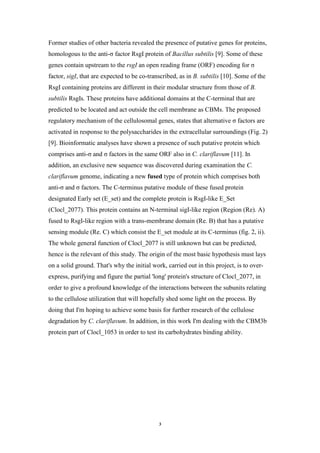3
Former studies of other bacteria revealed the presence of putative genes for proteins,
homologous to the anti-σ factor RsgI protein of Bacillus subtilis [9]. Some of these
genes contain upstream to the rsgI an open reading frame (ORF) encoding for σ
factor, sigI, that are expected to be co-transcribed, as in B. subtilis [10]. Some of the
RsgI containing proteins are different in their modular structure from those of B.
subtilis RsgIs. These proteins have additional domains at the C-terminal that are
predicted to be located and act outside the cell membrane as CBMs. The proposed
regulatory mechanism of the cellulosomal genes, states that alternative σ factors are
activated in response to the polysaccharides in the extracellular surroundings (Fig. 2)
[9]. Bioinformatic analyses have shown a presence of such putative protein which
comprises anti-σ and σ factors in the same ORF also in C. clariflavum [11]. In
addition, an exclusive new sequence was discovered during examination the C.
clariflavum genome, indicating a new fused type of protein which comprises both
anti-σ and σ factors. The C-terminus putative module of these fused protein
designated Early set (E_set) and the complete protein is RsgI-like E_Set
(Clocl_2077). This protein contains an N-terminal sigI-like region (Region (Re). A)
fused to RsgI-like region with a trans-membrane domain (Re. B) that has a putative
sensing module (Re. C) which consist the E_set module at its C-terminus (fig. 2, ii).
The whole general function of Clocl_2077 is still unknown but can be predicted,
hence is the relevant of this study. The origin of the most basic hypothesis must lays
on a solid ground. That's why the initial work, carried out in this project, is to over-
express, purifying and figure the partial 'long' protein's structure of Clocl_2077, in
order to give a profound knowledge of the interactions between the subunits relating
to the cellulose utilization that will hopefully shed some light on the process. By
doing that I'm hoping to achieve some basis for further research of the cellulose
degradation by C. clariflavum. In addition, in this work I'm dealing with the CBM3b
protein part of Clocl_1053 in order to test its carbohydrates binding ability.
 