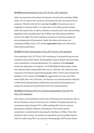 6
:1053 separately)_2077 & Clocl_(Cloclprotein purificationSTAGE4:
After over-expression of the protein, the bacteria were harvest by centrifuge (5000g,
30min, 4ºC). In order to have accesses to the proteins the cells were broke down by
sonication. Therefore after the first centrifuge the pellet of the processes was re-
suspended in sonication buffer (1:4 volume ratio of wet pellet (g) and sonication
buffer (ml) respectively). In order to eliminate unwanted nucleic-acids and preventing
degradation of the desirable protein 2µl of DNase and 100µl protease inhibitors
mixture were added. The whole suspension was kept on ice during sonication (to
prevent denaturation of the proteins). Finally, the broken cells mixture was
centrifuged (18000g, 45min, 4°C), and the supernatant fluids were collected for
further protein purification.
:1053 separately)_2077 & Clocl_(CloclIDA chromatography-NiSTAGE5:
The recombinant Clocl_2077/Clocl_1053 containing an N-terminal His-tag was first
isolated by metal-chelate affinity chromatography using Ni packed colona according
to the manufacturer’s recommended protocol. For separation of the un-bound
proteins the supernatant was loaded to a 16/10 HR (High Resolution) glass column
and washed by 40ml washing buffer (flow rate of 1.5ml/min). The column was then
connected to Fast Protein Liquid Chromatography (FPLC) ÄKTA-prime System (GE
healthcare, USA). Elution of the bound His-tagged protein was done with 50ml
elution buffer (flow rate of 2ml/min). 2ml fractions were collected and later subjected
to SDS-PAGE (Sodium Dodecyl Sulfate-PolyAcrylamid Gel Electrophoresis) to
estimate the amount and the purification level of the expressed protein.
2077 &_(Cloclchromatographysize exclusion(GF)filtration-GelSTAGE6:
:1053 separately)_Clocl
After analysis of the purification made by the Ni-IDA processes the fractions refers to
the best absorption noted over the assay were combined. The gathered protein was
concentrated using Centriprep YM-3 10kD centrifugal filter devices (Amicon
Bioseparation, Millipore, Billerica, Massachusetts, USA) and the protein
concentration was determined by measuring the absorbance at 280nm. Then, third
purification step was done- the protein was separated by neat exit gradient (large to
small size order) using FPLC size exclusion chromatography ÄKTA-prime System
 