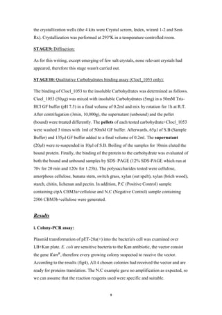 8
the crystallization wells (the 4 kits were Crystal screen, Index, wizard 1-2 and Seat-
Rx). Crystallization was performed at 293ºK in a temperature-controlled room.
Diffraction:E9:STAG
As for this writing, except emerging of few salt crystals, none relevant crystals had
appeared, therefore this stage wasn't carried out.
1053 only):_binding assay (CloclsCarbohydrateQualitativeSTAGE10:
The binding of Clocl_1053 to the insoluble Carbohydrates was determined as follows.
Clocl_1053 (50µg) was mixed with insoluble Carbohydrates (5mg) in a 50mM Tris-
HCl GF buffer (pH 7.5) in a final volume of 0.2ml and mix by rotation for 1h at R.T.
After centrifugation (3min, 10,000g), the supernatant (unbound) and the pellet
(bound) were treated differently. The pellets of each tested carbohydrate+Clocl_1053
were washed 3 times with 1ml of 50mM GF buffer. Afterwards, 65µl of S.B (Sample
Buffer) and 135µl GF buffer added to a final volume of 0.2ml. The supernatant
(20µl) were re-suspended in 10µl of S.B. Boiling of the samples for 10min eluted the
bound protein. Finally, the binding of the protein to the carbohydrate was evaluated of
both the bound and unbound samples by SDS–PAGE (12% SDS-PAGE which run at
70v for 20 min and 120v for 1.25h). The polysaccharides tested were cellulose,
amorphous cellulose, banana stem, switch grass, xylan (oat spelt), xylan (brich wood),
starch, chitin, lichenan and pectin. In addition, P.C (Positive Control) sample
containing cipA CBM3a+cellulose and N.C (Negative Control) sample containing
2506 CBM3b+cellulose were generated.
Results
i. Colony-PCR assay:
Plasmid transformation of pET-28a(+) into the bacteria's cell was examined over
LB+Kan plate. E. coli are sensitive bacteria to the Kan antibiotic, the vector consist
the gene 𝐾𝑎𝑛 𝑅
, therefore every growing colony suspected to receive the vector.
According to the results (fig4), All 4 chosen colonies had received the vector and are
ready for proteins translation. The N.C example gave no amplification as expected, so
we can assume that the reaction reagents used were specific and suitable.
 