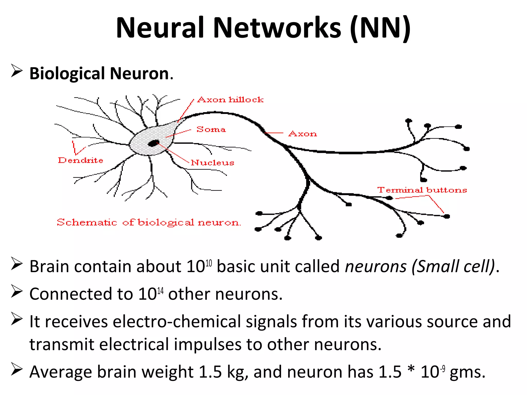 Neural Networks (NN)
 Biological Neuron.
 Brain contain about 1010
basic unit called neurons (Small cell).
 Connected to 1014
other neurons.
 It receives electro-chemical signals from its various source and
transmit electrical impulses to other neurons.
 Average brain weight 1.5 kg, and neuron has 1.5 * 10-9
gms.
 