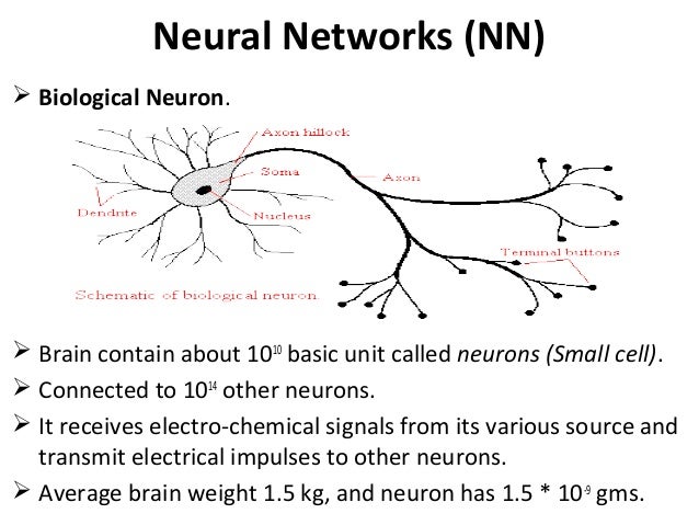 adaptive network in soft computing