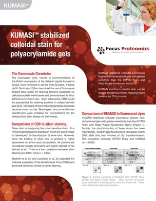 KUMASI™ stabilized
colloidal stain for
polyacrylamide gels
The Coomassie Chronicles
The Coomassie dyes, named in commemoration of
the British occupation of the Ashanti capital Kumasi in
Ghana, have remained in use for over 50 years. Faseka
de St. Groth et al [1] first described the use of Coomassie
Brilliant Blue (CBB) for staining proteins separated on
cellulose acetate membranes and demonstrated its strict
adherence to Beer’s law. Soon afterwards, CBB would
be popularized for staining proteins in polyacrylamide
gels [2,3]. Members of the first Electrophoresis Societies
became known as the “Bluefingers” and some German
practitioners were mistaken for counterfeitors for the
residual blue stain always on their hands.
Comparison of CBB to silver staining
Silver stain is inarguably the most sensitive stain. It is
mimics a photographic process in which the latent image
is “developed” by the reduction of silver ions. However,
since the binding of silver ions to proteins is highly
dependent on amino acid composition, all proteins are
not stained equally and some are poorly stained or not
stained at all. There is a low correlation between silver
staining and CBB, where r = 0.657.
Neuhoff et al. [4] and Candiano et al. [5] exploited the
colloidal properties of the dimethylated form of CBB and
achieved sensitivity similar to silver staining.
Focus Proteomics
Focus Proteomics
Focus Proteomics
Exploring the subliminal proteome
Exploring the subliminal proteome
Exploring the subliminal proteome
Exploring the subliminal proteome
KUMASI™
Comparison of KUMASI to fluorescent dyes
KUMASI stabilized colloidal Coomassie stained two-
dimensional gels with greater sensitivity than the SYPRO
Ruby and Deep Purple fluorescent stains (Figure 1).
Further, the photoinstability of these stains has been
reported [6]. Deep Purple fluorescence decreases nearly
30% after only two minutes of UV transillumination.
The correlation between SYPRO Ruby and KUMASI
is r = 0.825.
KUMASI stabilized colloidal Coomassie
stained two-dimensional gels with greater
sensitivity than the SYPRO Ruby and
Deep Purple fluorescent stains.
KUMASI stabilized colloidal stain can be
reused at least four times, reducing waste
streams by 75% or more.
Figure 1. Relative sensitivity of KUMASI (left), SYPRO Ruby
(center) and Deep Purple stains. Mean number of protein
spots detected in triplicate gels is reported (lower left). Insets
show differential staining of proteins.
 