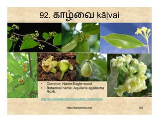 92. கா                    ைவ kāḻvai




•   Common Name:Eagle-wood
•   Botanical name: Aquilaria agallocha
    Roxb.

http://en.wikipedia.org/wiki/Aquilaria_malaccensis


                    http://karkanirka.org/           103
 
