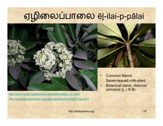 ஏழிைல பாைல ēḻ-ilai-p-pālai




                                                                        •   Common Name:
                                                                            Seven-leaved milk-plant.
                                                                        •   Botanical name: Alstonia
                                                                            scholaris (L.) R.Br.
http://www.biotik.org/laos/species/a/alssc/alssc_en.html
http://www.flowersofindia.net/catalog/slides/Devil%20Tree.html



                                               http://karkanirka.org/                            115
 