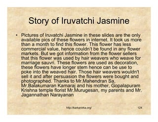 Story of Iruvatchi Jasmine
• Pictures of Iruvatchi Jasmine in these slides are the only
  available pics of these flowers in internet. It took us more
  than a month to find this flower. This flower has less
  commercial value, hence couldn’t be found in any flower
  markets. But we got information from the flower sellers
  that this flower was used by hair weavers who weave for
  marriage sauvri. These flowers are used as decoration,
  these flowers have longer stem hence can be use to
  poke into the weaved hair. Those hair weavers wouldn't
  sell it and after persuasion the flowers were bought and
  photographed. Thanks to Mr.Mahendran Sa,
  Mr.Balakumaran Kamaraj and his mother, Gopalapuram
  Krishna temple florist Mr.Murugesan, my parents and Mr.
  Jagannathan Narayanan

                        http://karkanirka.org/             124
 