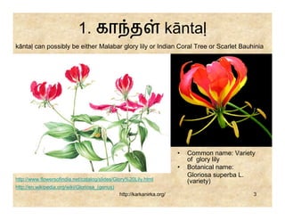 1. கா த                                  kāntaḷ
kāntaḷ can possibly be either Malabar glory lily or Indian Coral Tree or Scarlet Bauhinia




                                                                         •   Common name: Variety
                                                                             of glory lily
                                                                         •   Botanical name:
                                                                             Gloriosa superba L.
http://www.flowersofindia.net/catalog/slides/Glory%20Lily.html               (variety)
http://en.wikipedia.org/wiki/Gloriosa_(genus)
                                                http://karkanirka.org/                          3
 