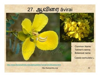 27. ஆவ ைர āvirai




                                                                      •   Common Name:
                                                                          Tanner's senna
                                                                      •   Botanical name:

                                                                          Cassia auriculata L.

http://www.flowersofindia.net/catalog/slides/Tanner's%20Cassia.html
                                           http://karkanirka.org/                      32
 