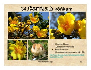 34.ேகா        க               kōṅkam




                          •   Common Name:
                              Golden silk cotton tree
                          •   Botanical name:
                              Cochlospermum gossypium (L.) DC.
                      http://www.flowersofindia.net/catalog/slides/Butte
                      rcup%20Tree.html


     http://karkanirka.org/                                      39
 
