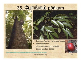 35. ேபா                               க                pōṅkam




                                          •      Common Name : horse-eye beans
                                          •      Botanical name:
                                                 Ormosia travancorica Bedd.
                                          •      Seeds used as Beads
http://www.biotik.org/india/species/o/ormotrav/ormotrav_en.html
                                              http://karkanirka.org/             40
 