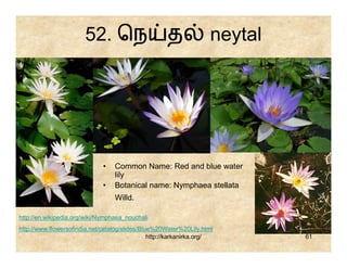 52. ெந                        த               neytal




                              •   Common Name: Red and blue water
                                  lily
                              •   Botanical name: Nymphaea stellata
                                  Willd.

http://en.wikipedia.org/wiki/Nymphaea_nouchali
http://www.flowersofindia.net/catalog/slides/Blue%20Water%20Lily.html
                                                http://karkanirka.org/        61
 
